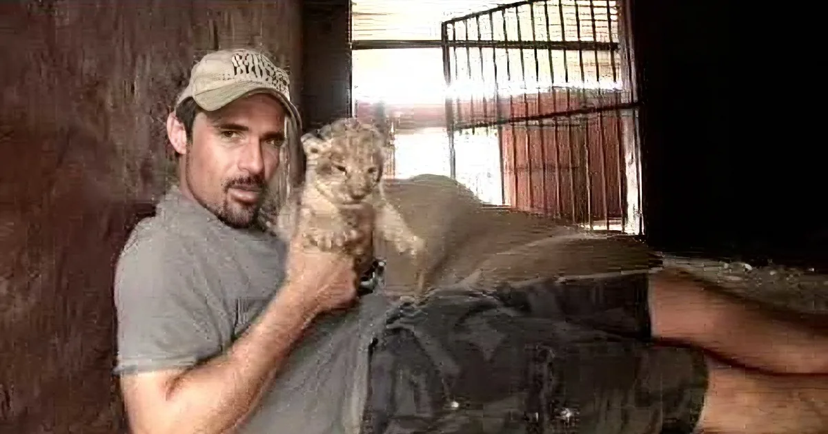 This Man Enters a Lion''s Cage and You Won''t Believe What Happens Next!