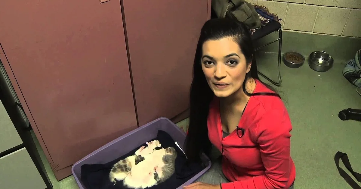 Sweet Momma Cat Adopts Abandoned Puppy and Nurses Him Back From Certain Death