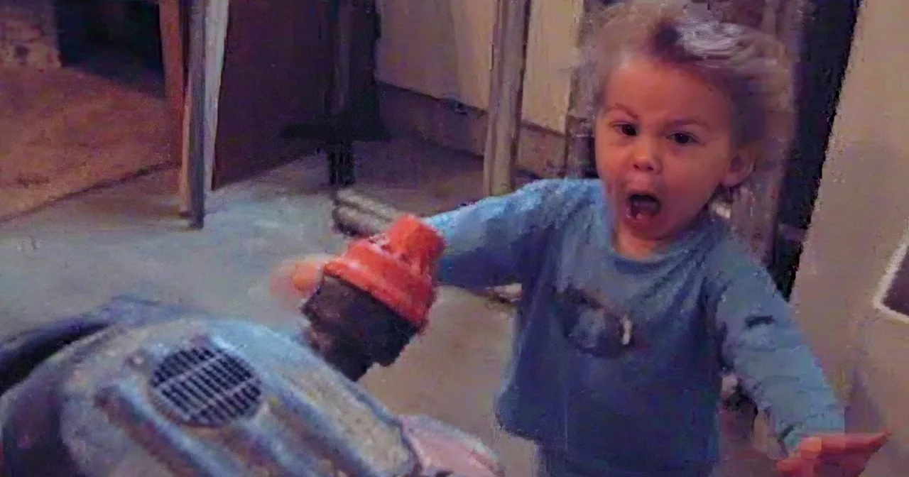 LOL, Find out What Happens When These Babies Discover That Thing Known as the Vacuum!