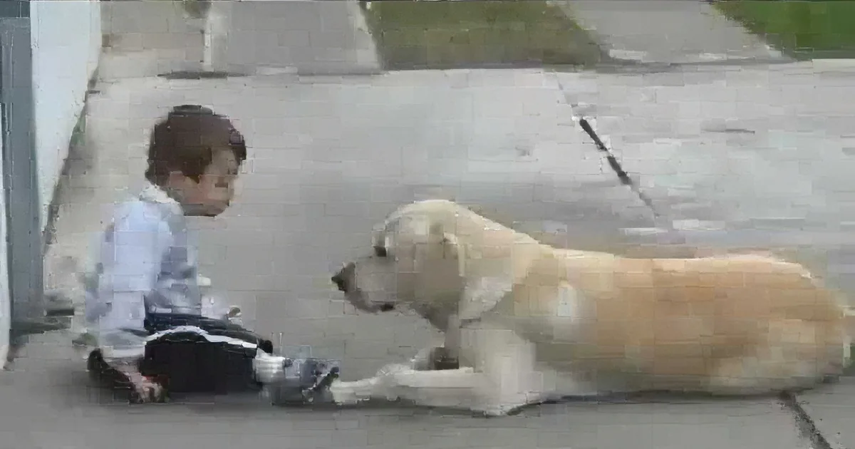 This Little Boy Has Down Syndrome. and When His Dog Did This, My Heart Melted!