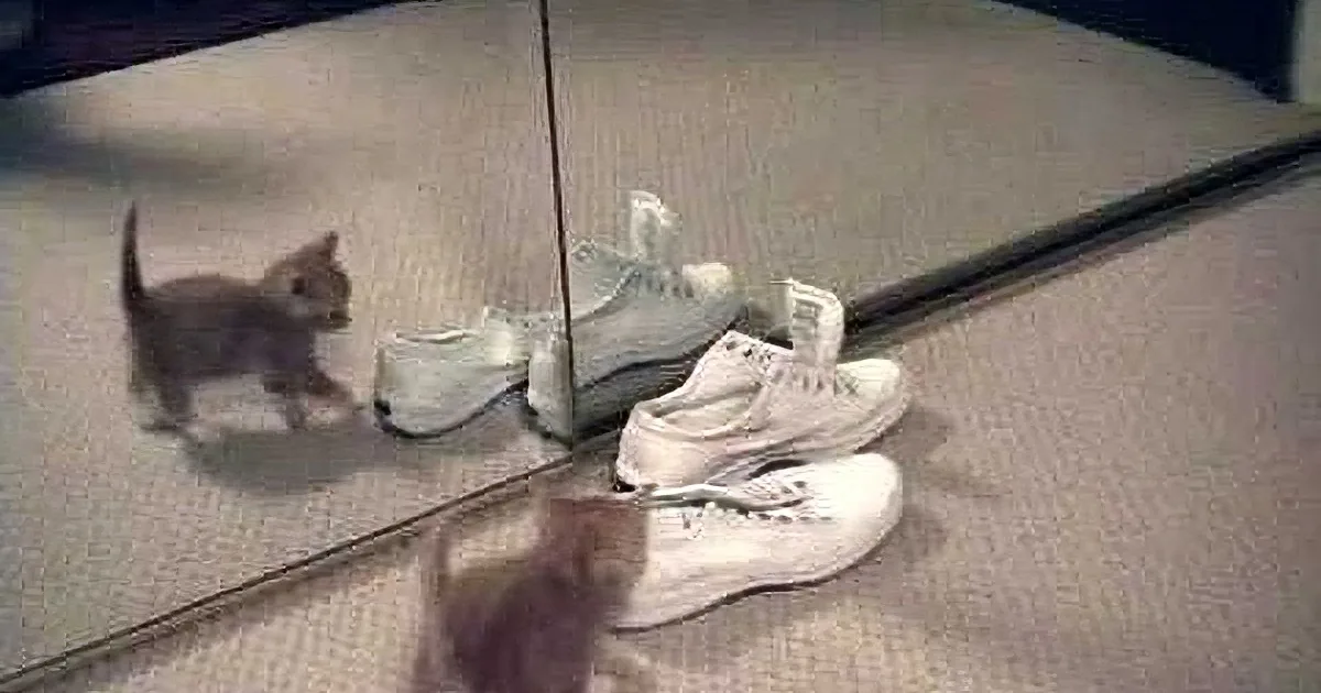 A kitten curiously inspects its reflection in a mirror, surrounded by white sneakers.