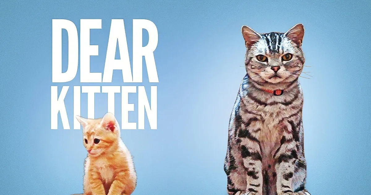 Big Brother Teaches Kitten Important Life Lessons - and It Had Me Rolling on the Floor!
