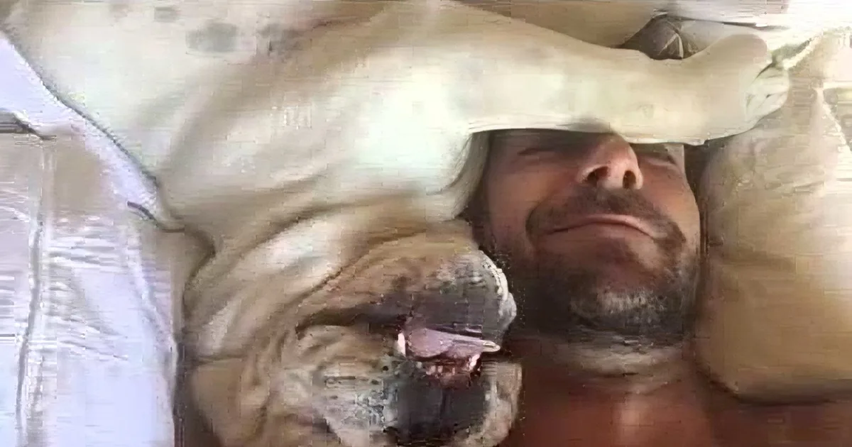 When Daddy Tries to Wake His Bulldog, the Pup Has Plans of His Own! LOL!