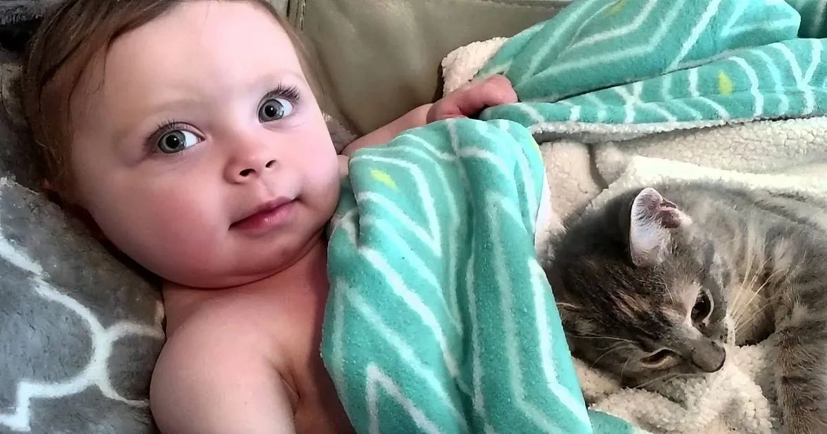 8 Month Old Angel and Her Kitty Cat Waking up From a Nice Long Nap... Soo Cute!