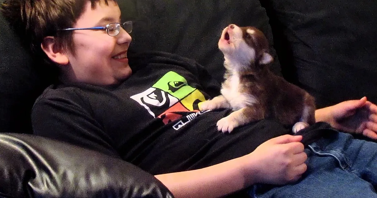 This Tiny Puppy Is Just 20 Days Old, but When She Began to Howl, My Heart Melted! Adorable!