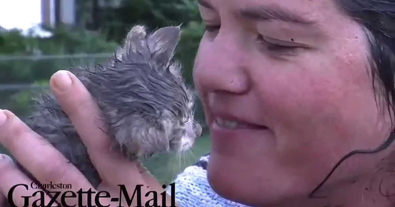 A person holds a small, wet bird, appearing to comfort it, with a blurred background and "Charleston Gazette-Mail" text.