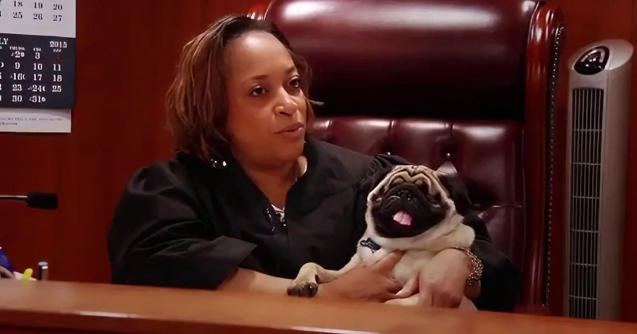 This Blind Pug Was Going to Euthanized, Until an Unlikely Savior Came to His Rescue... a Miracle!