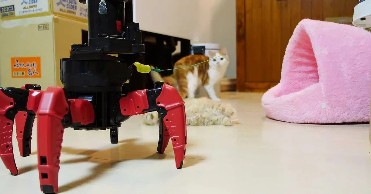 Robot Plays With Kittens in Epic ''Battle'' for Control of the Front Room