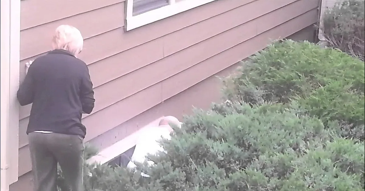 A Fawn Was Trapped in Their House and What They Did Next Will Have You Saying ''Awwww'' in No Time!