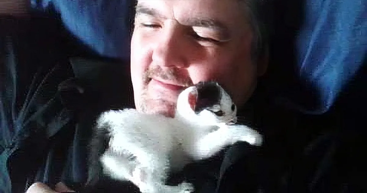 A man is holding a small, fluffy kitten close to his face, both appearing content.