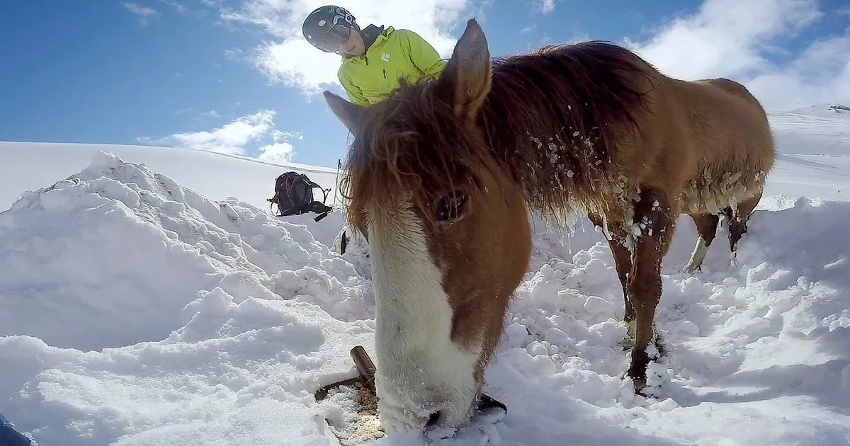 You''ll Be Amazed When You Find out What These Two Guys Discovered While Snowboarding.