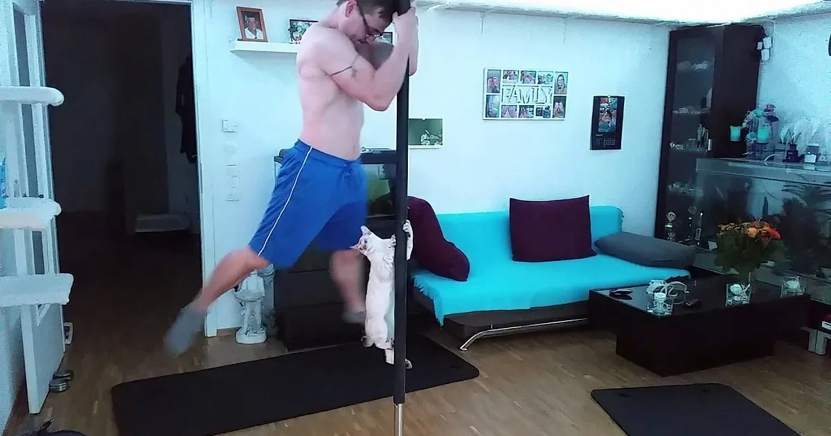 Watch This Cat Pole Dance! OMG!
