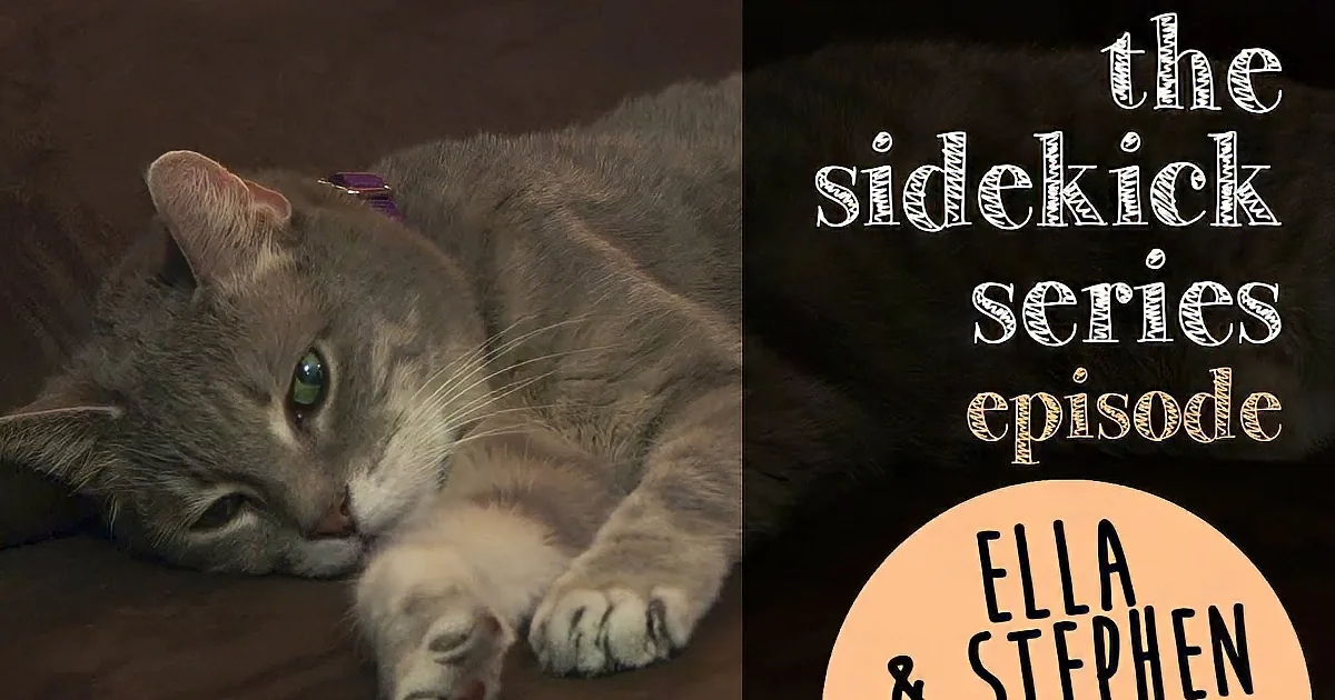 Ella the Cat Got the Best Owner Ever!