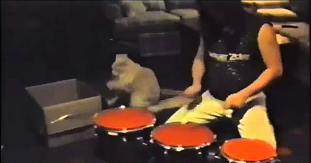 This Cat''s Drumming Skills Will Blow You Away!