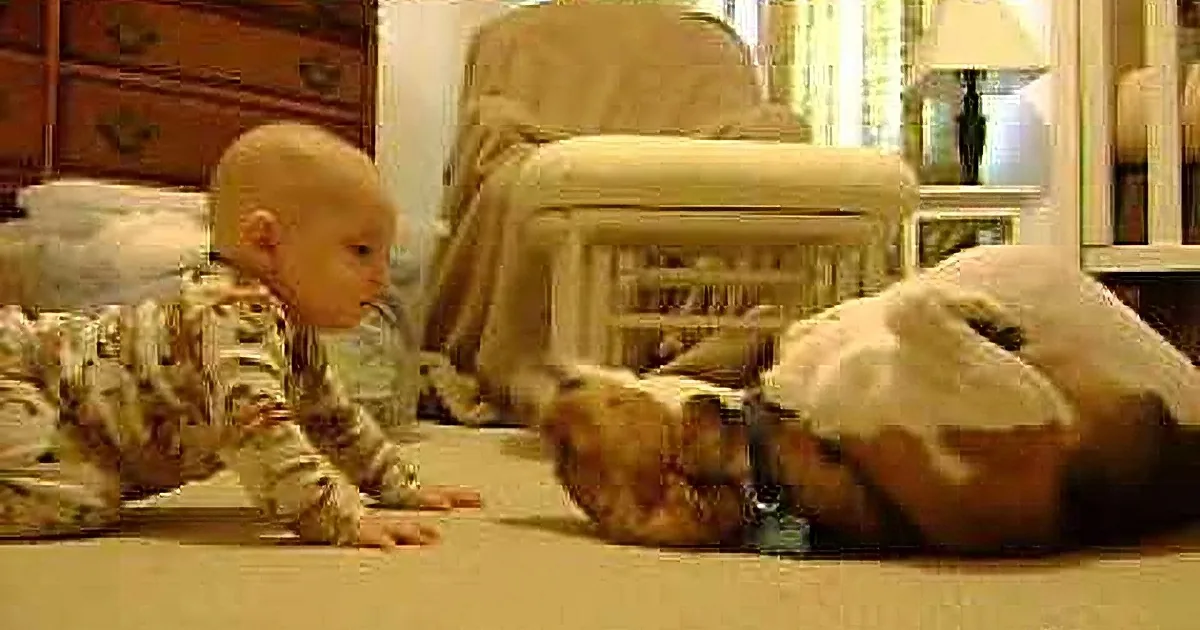 A baby in camouflage pajamas is crawling on the floor, reaching out towards a dog.