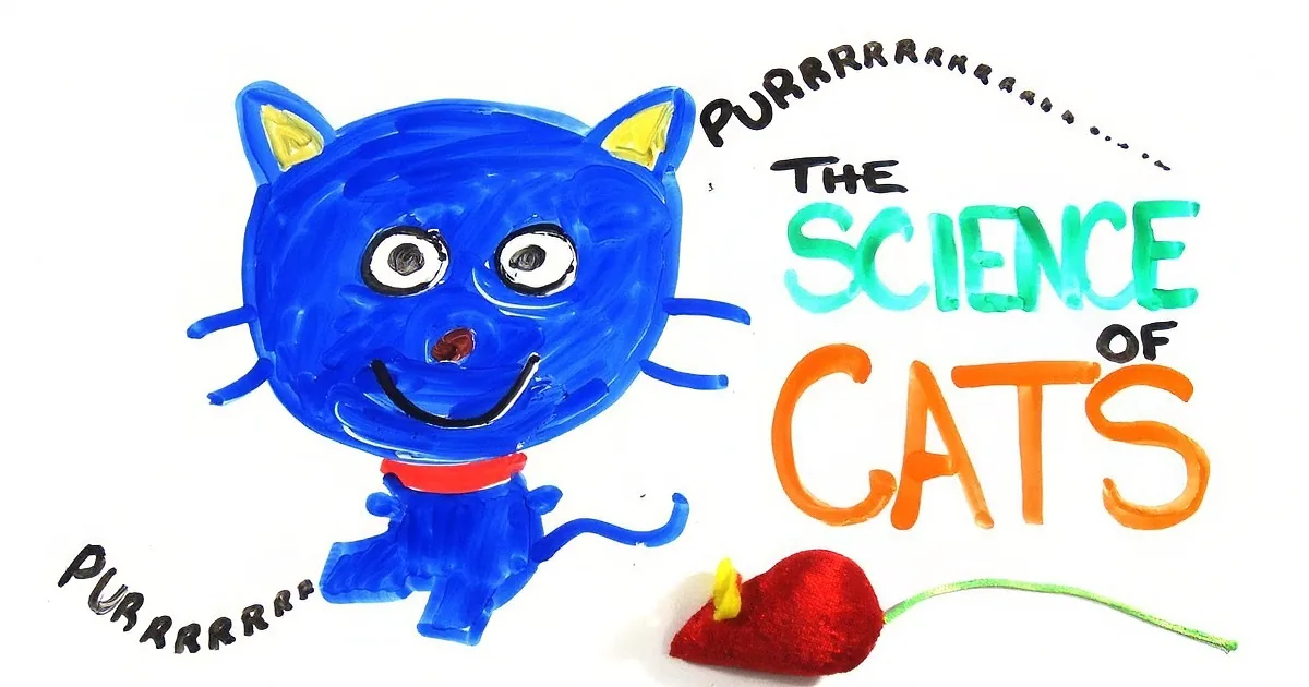 A blue cat toy with a red mouse and the text "The Science of Cats" is depicted.