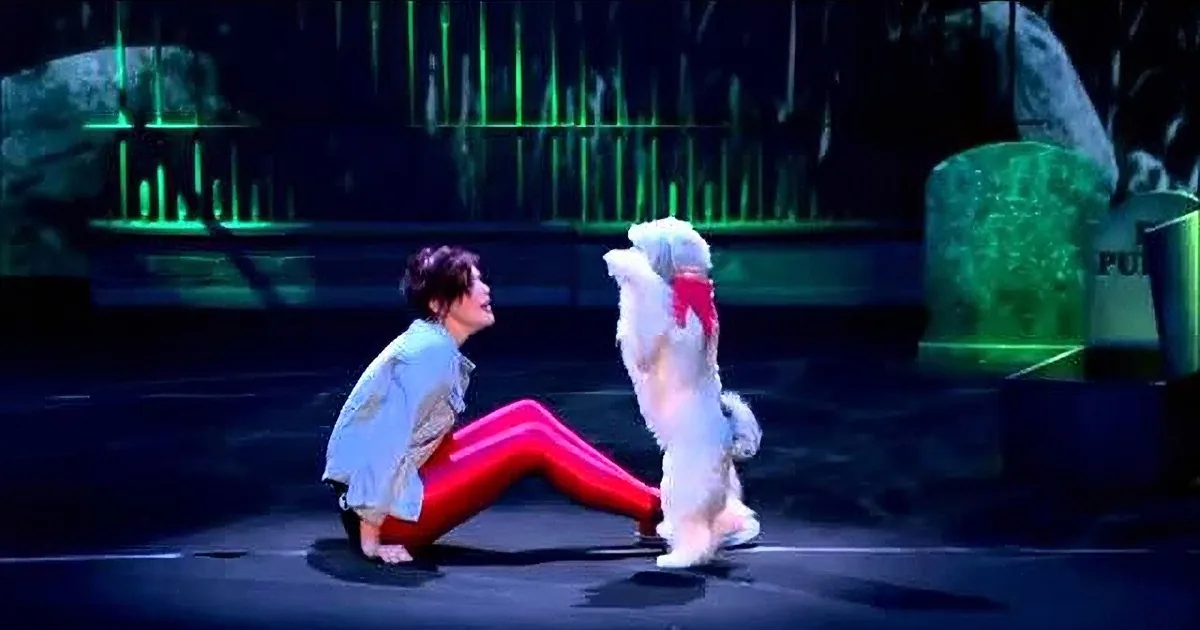 A person in red pants and a white jacket is kneeling on stage, interacting with a white dog wearing a red outfit.