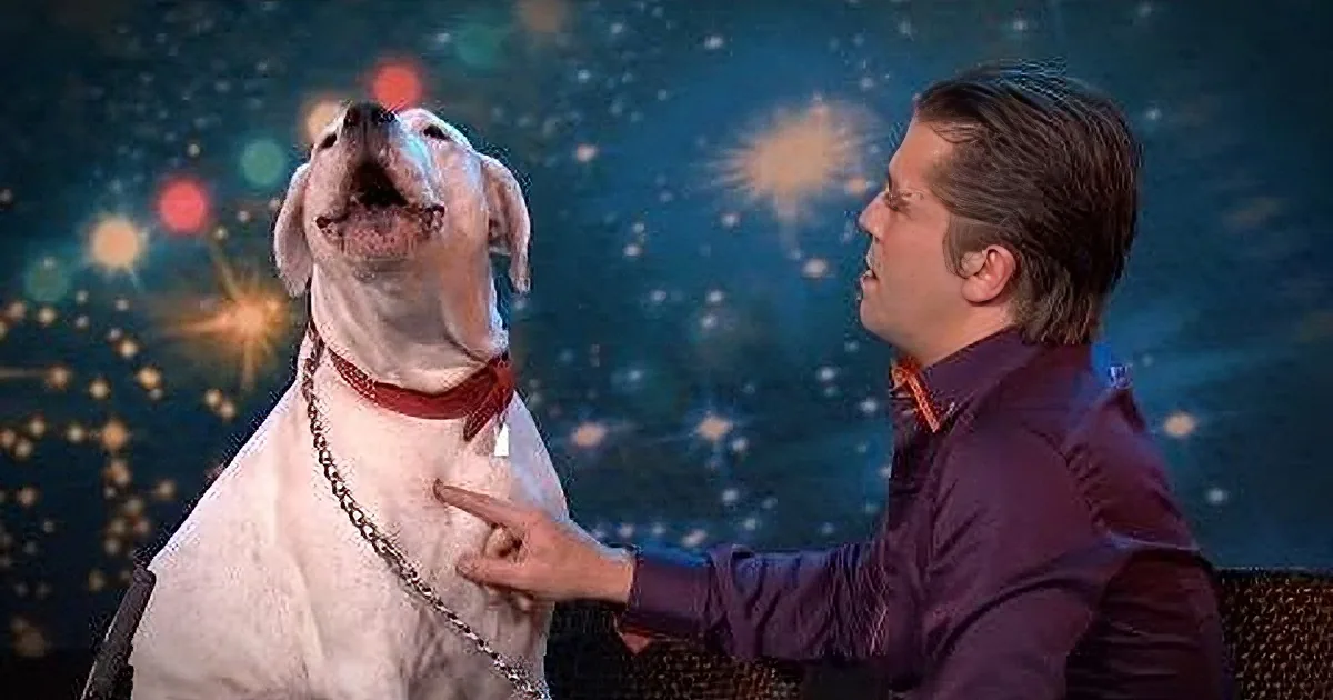 A man in a purple shirt pets a white dog with a red collar against a starry background.