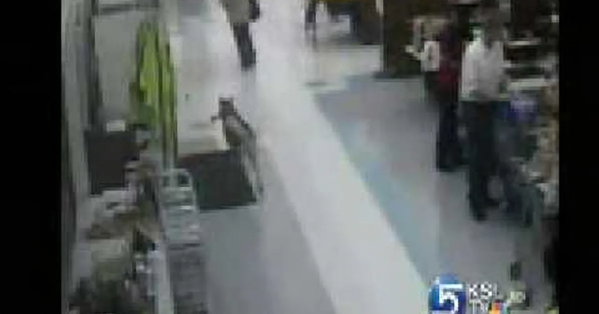 A cat is walking on a white floor in a store, surrounded by people and shelves.