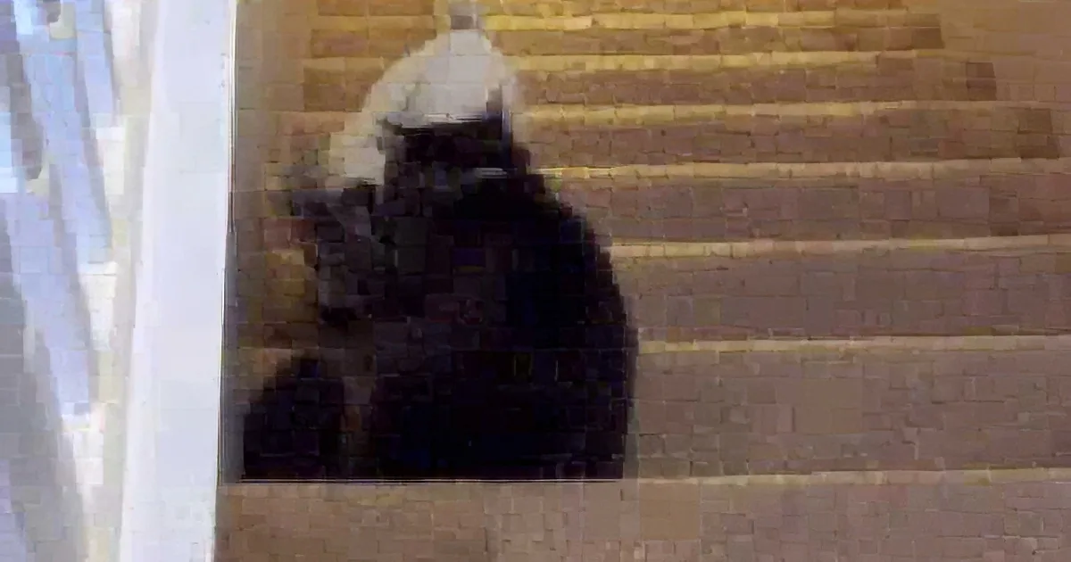 A black cat with a white patch on its head is sitting on a carpeted staircase.