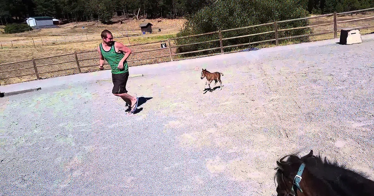 That Man''s Being Followed by a Tiny Creature... but When the Camera Zooms in to Reveal It? OMG Adorable!