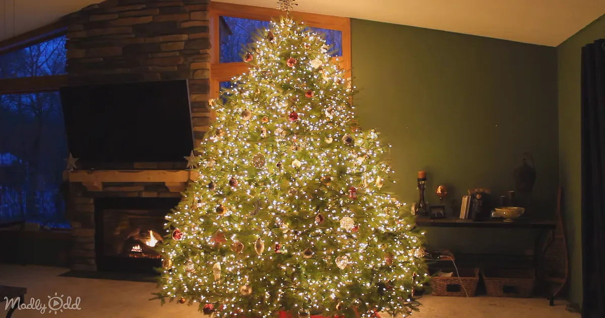 I Thought This Was a Normal Christmas Tree -- Until the Lights Went off, Wow!