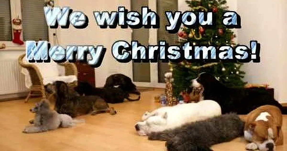 A group of dogs lounging on a wooden floor near a decorated Christmas tree.