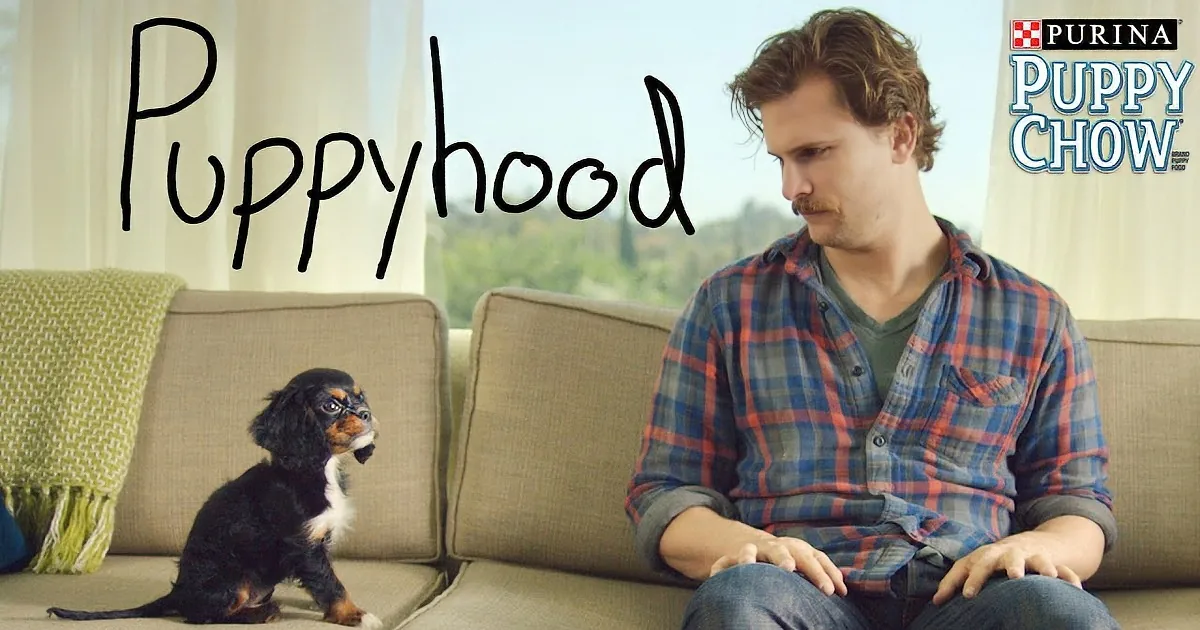 This Guy Is a First-Time Pet Owner. Watch His Reaction to His New Puppy! This Will Steal Your Heart! Aww!