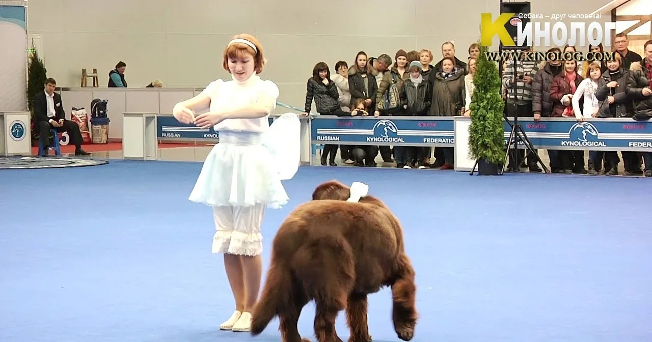 I Was Skeptical When She Walked on the Stage With Her Dog. Her Next Move Shocked Me!