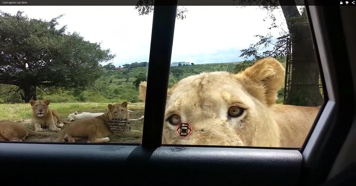 They Thought They Were Safe Inside Their Car, Until the Unlocked Door Starts to Rattle