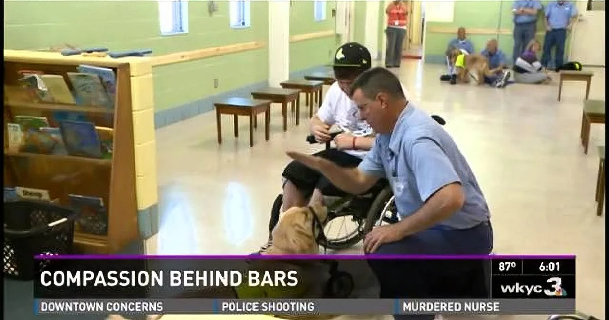 School Shooting Victim Meets Service Dog Raised by Prison Inmate! Wow!