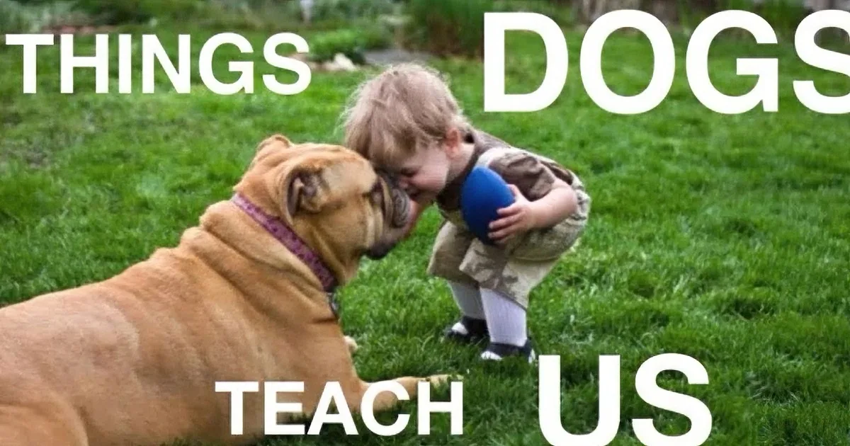 If You''re a True Dog Lover, You Need to See This! Aww!
