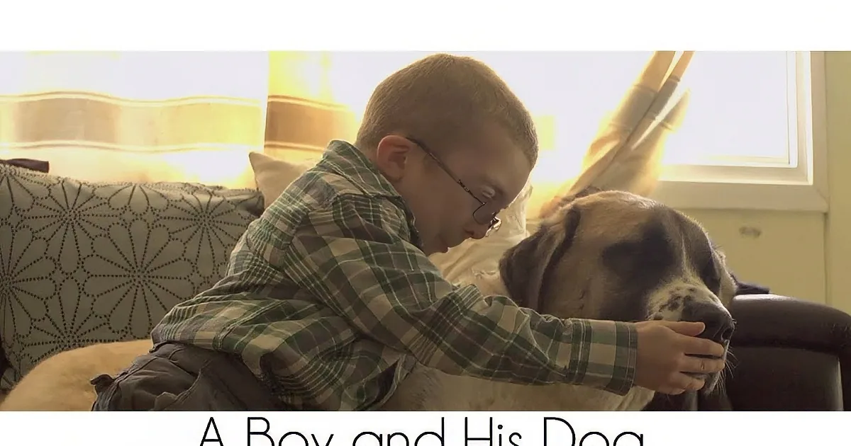 Disabled Boy Finds His Savior in a 3-Legged Rescue Dog! Wow!