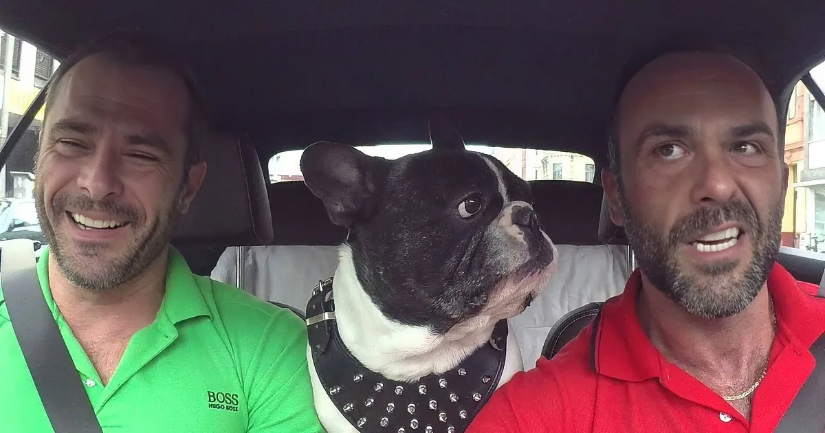 Two men and a dog in a car, one man in a green shirt, another in red, both smiling, dog wearing a studded collar.