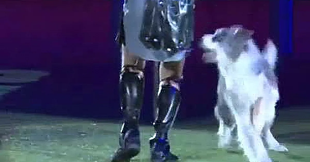 Gladiator and Dog Perform Amazing Dance Routine Together! Wow!