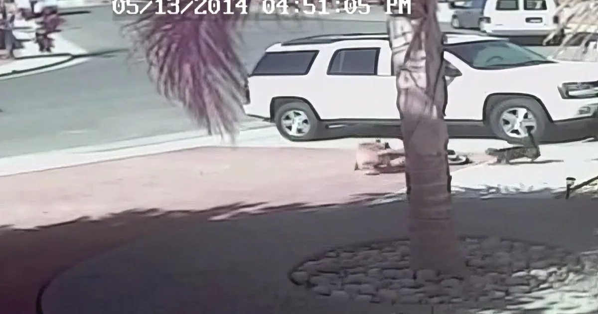 A person in boots walks past a tree in a parking lot on 05/13/2014 at 04:51:05 PM.