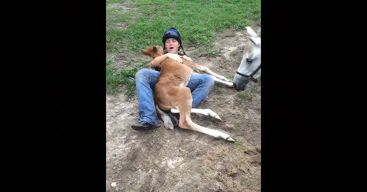 She Was Playing With a Baby Horse When out of Nowhere It Did This! Whoa...