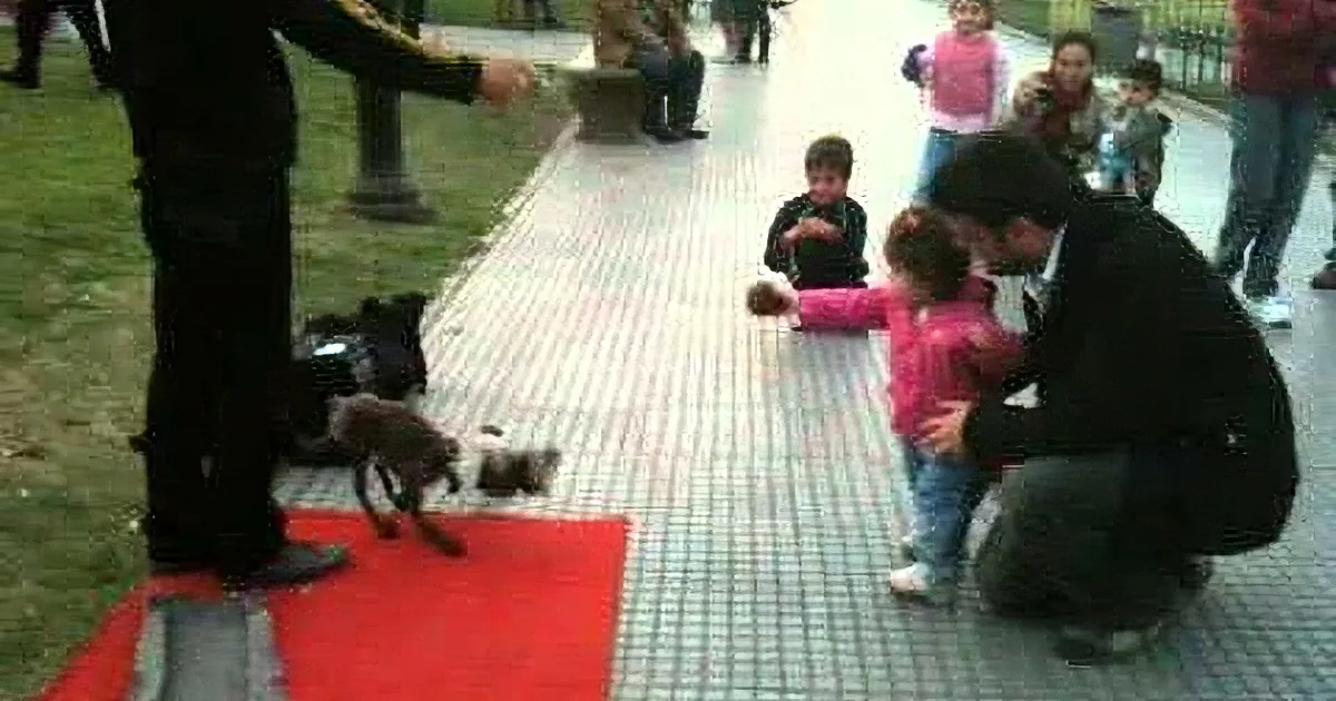 Children and adults gather around a small dog on a tiled floor, with a red carpet nearby.