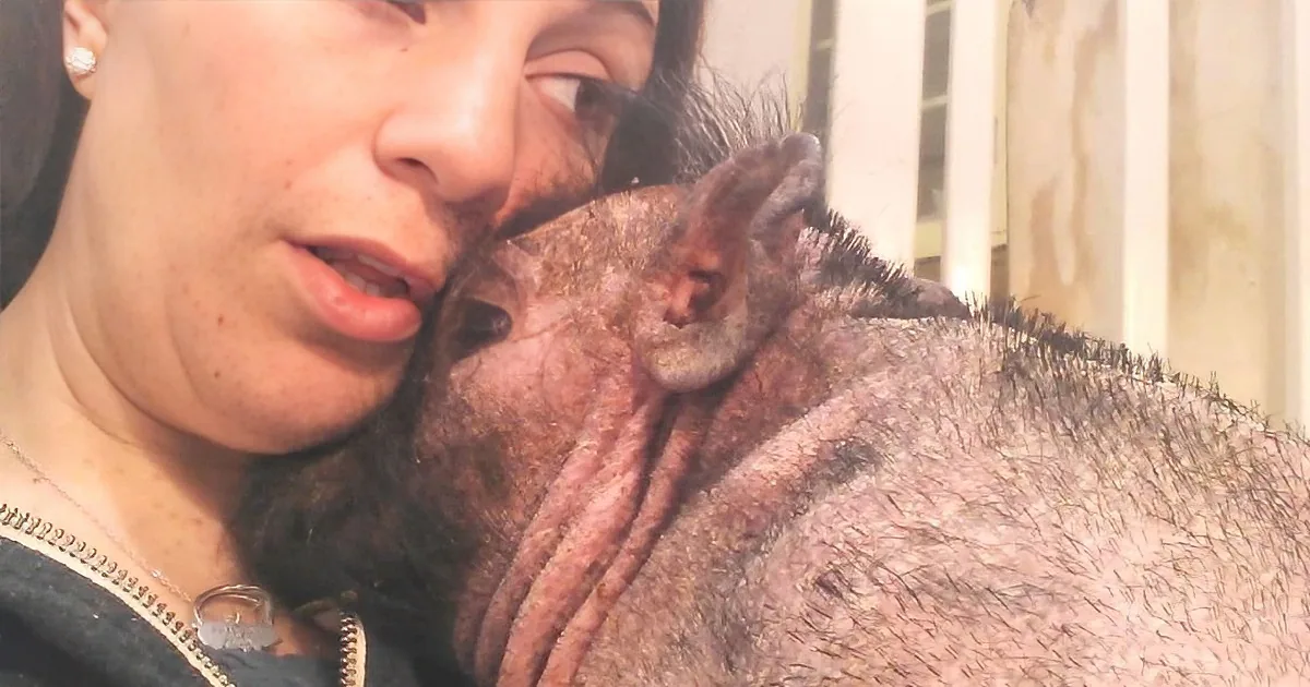 A person is holding a small, dark-furred animal, possibly a bat, close to their face.