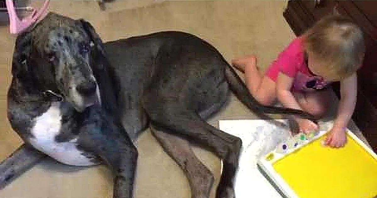 This Little Toddler Is Painting Next to Her Dog. but Wait Till You See What She's Painting With! LOL!