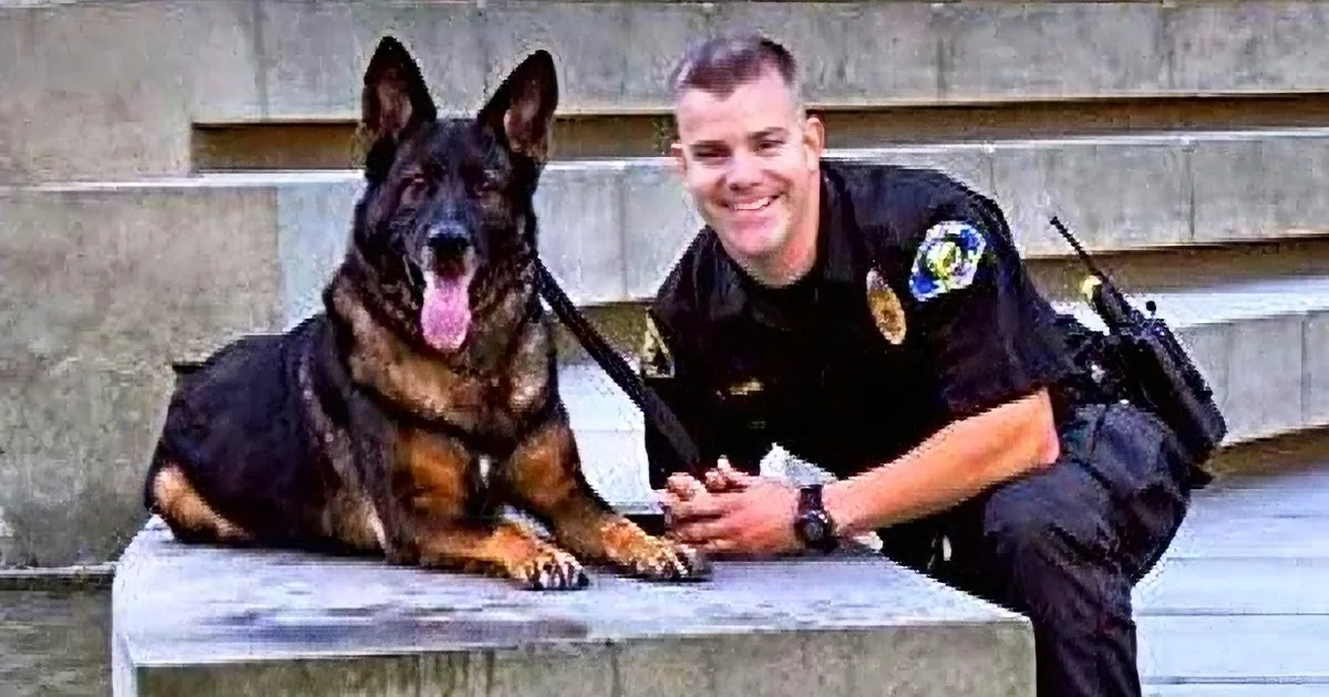 A police officer and his K-9 partner, a German Shepherd, are sitting on concrete steps.