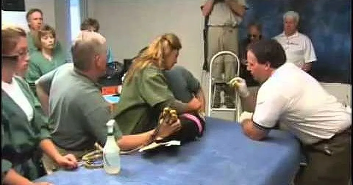 A person in a green shirt is being examined by medical professionals on a blue table.