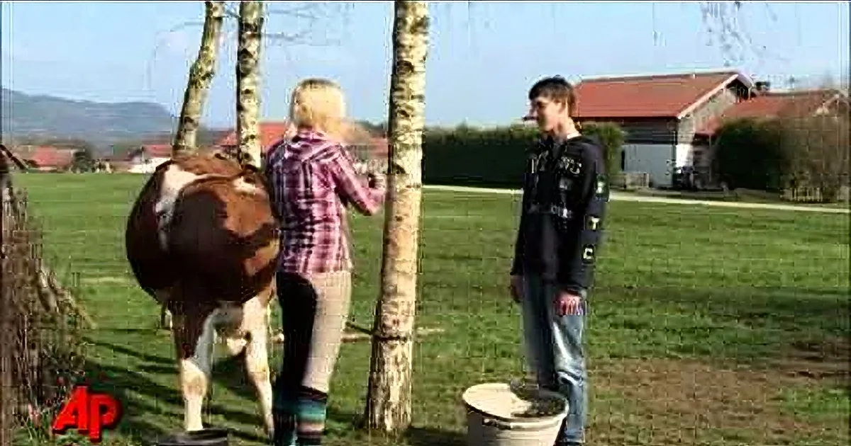 Teenager Trained Her Cow to 'Jump Like a Horse' What Happened Then? You Need to See This!