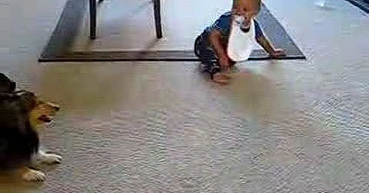 A baby in a white bib and dark pants is crawling on a light-colored floor, with a dog lying nearby.