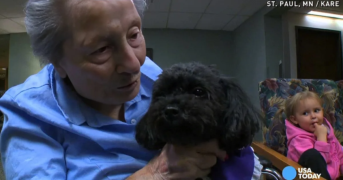 An elderly man holds a small black dog, with a young child in the background.