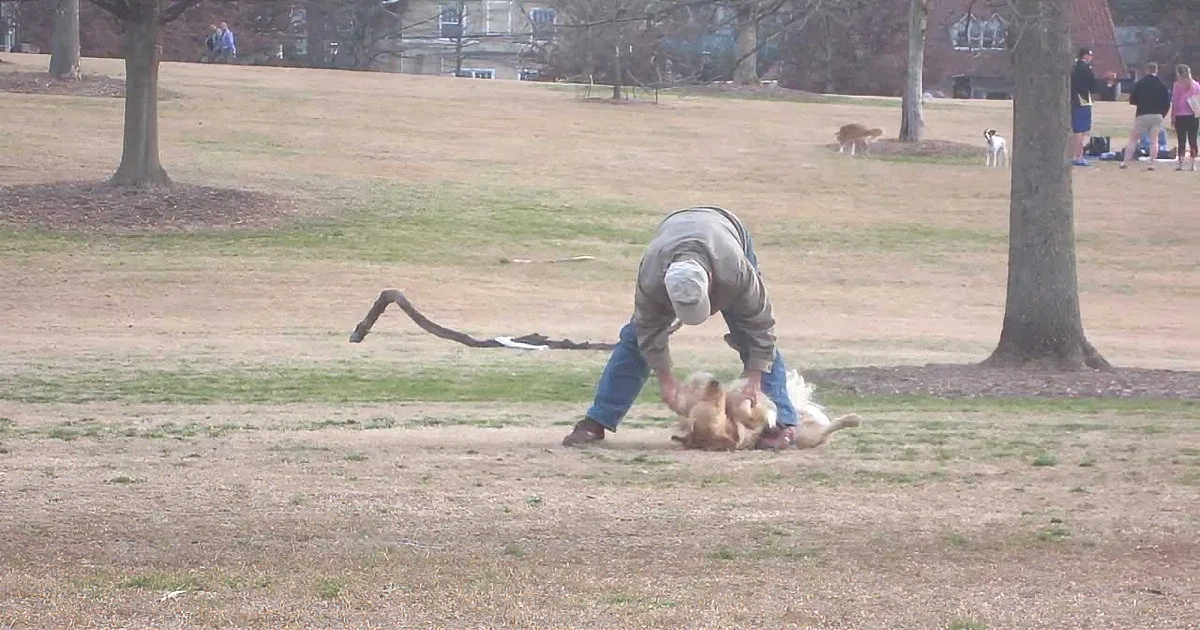 A Man Dragging His Dog Around Is Not as Cruel as You''d Think!