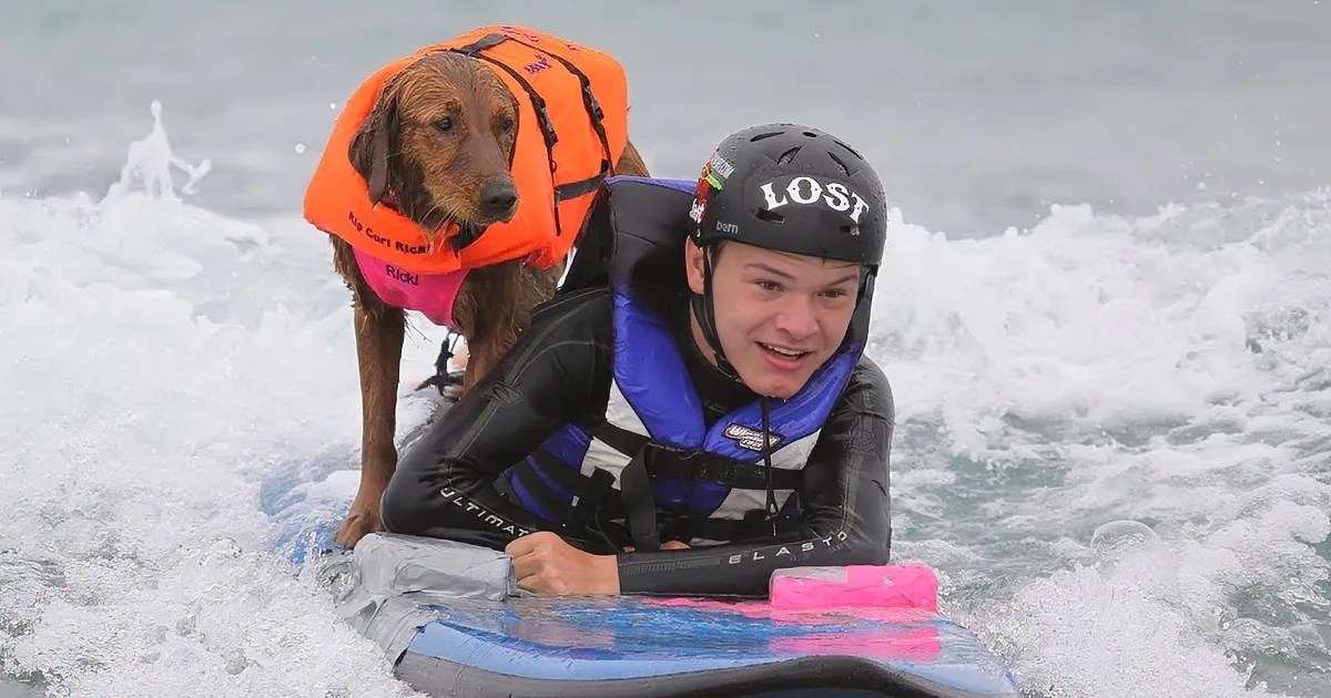A boy and dog surf on a blue board in the ocean, with "Kleenex Alert!" text in the corner.