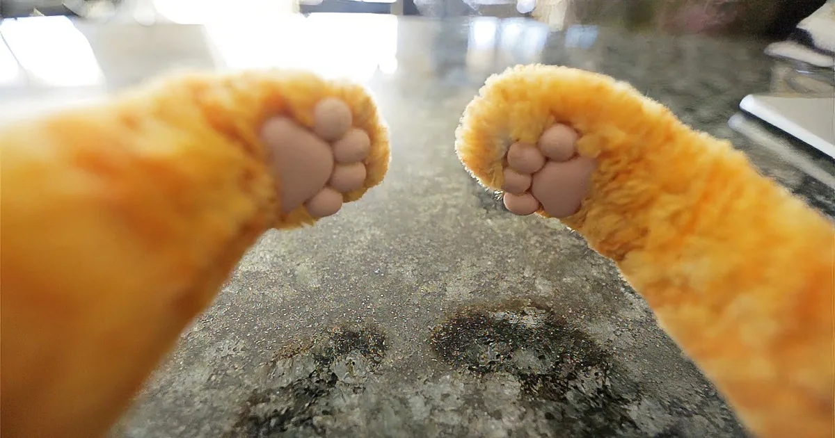 Close-up of a cat's paws with pink pads on a granite countertop.