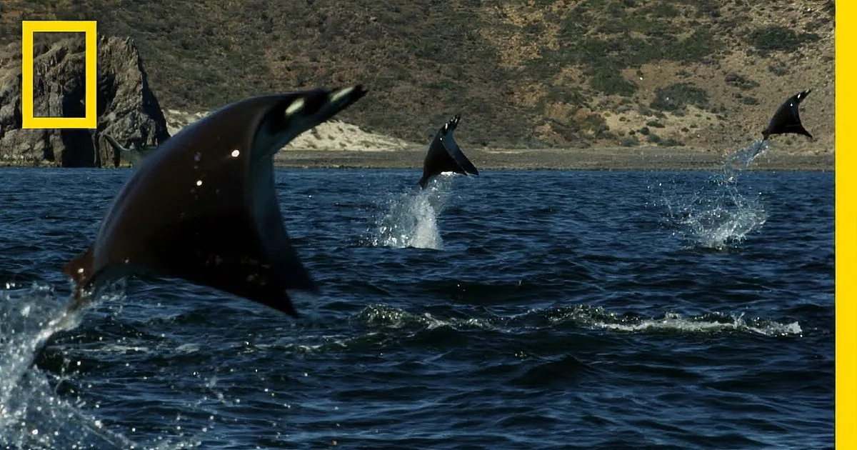 An Indescribable Event Was Captured in the Middle of the Ocean. Everybody Needs to See This! Wow!