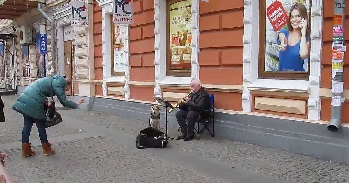Street Musician Started His Performance. What This Dog Beside Him Did Next? OMG!
